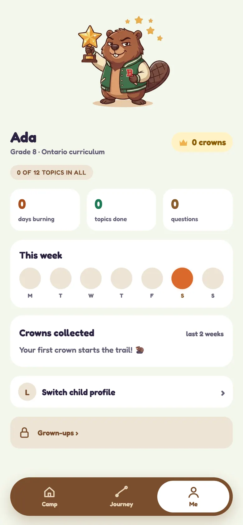 Child profile showing grade, crowns, topics, activity, and profile switching